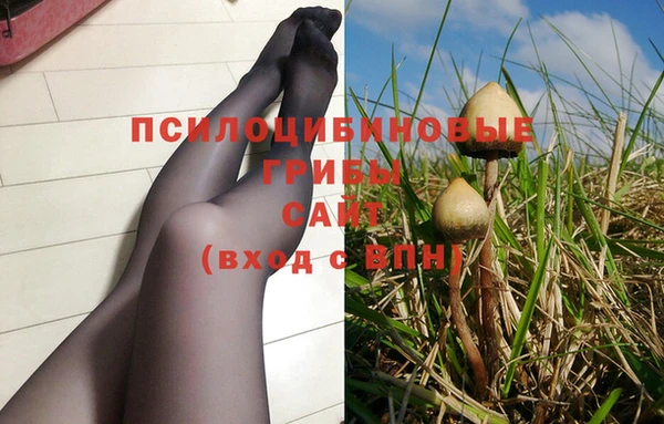 не бодяженный Бородино