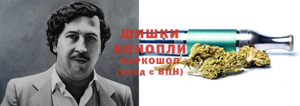 гидра Бронницы