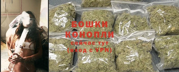 гидра Бронницы