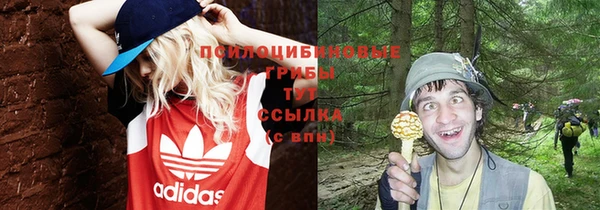 ALPHA PVP Богданович