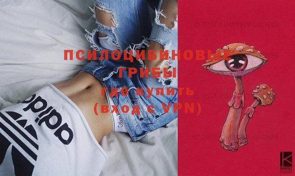 spice Бугульма