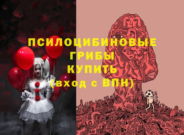 гидра Бронницы