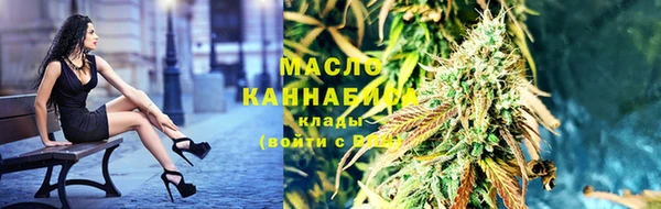 гидра Бронницы