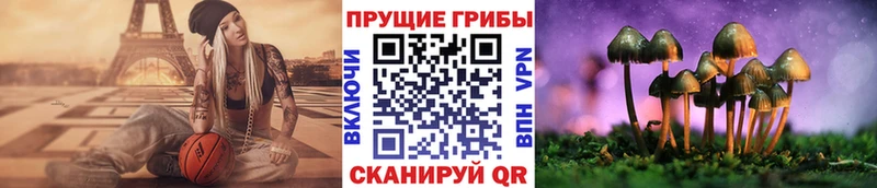Галлюциногенные грибы MAGIC MUSHROOMS  где можно купить наркотик  Динская 